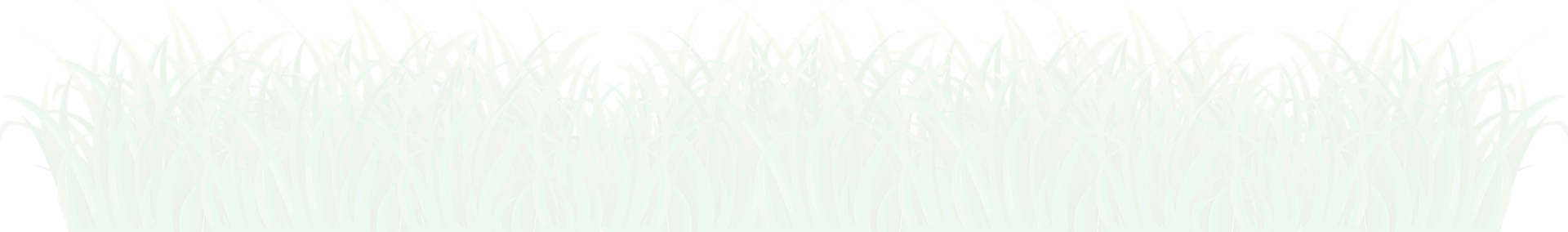 Leaf Png